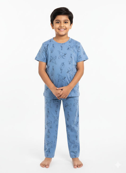Blue dinos top & bottom set (2-10 years)